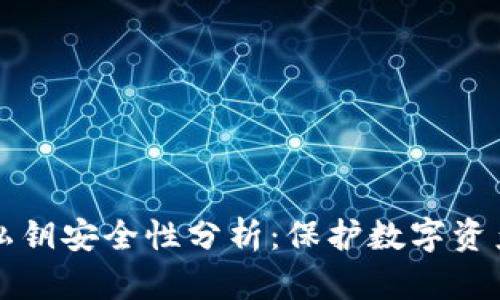 TP钱包导入私钥安全性分析：保护数字资产的必要指南