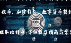 如何在钱包中提取比特币：详细操作指南与常见