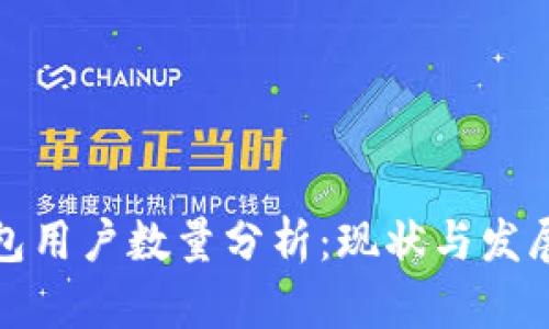 TP钱包用户数量分析：现状与发展前景